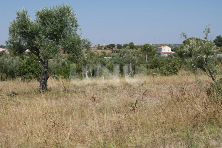 Terreno Agricola ou Rústico para Venda em Ladoeiro Foto 1