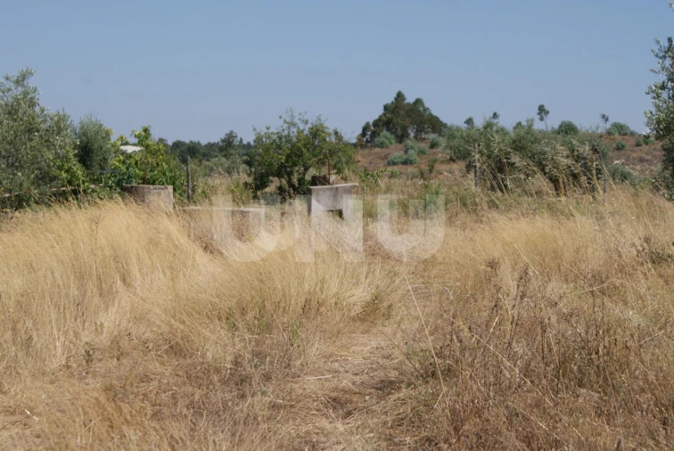 Terreno Agricola ou Rústico para Venda em Ladoeiro Foto 23