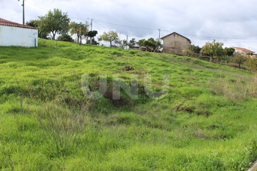 Terreno Agricola ou Rústico para Venda em Proença-A-Nova e Peral Foto 13