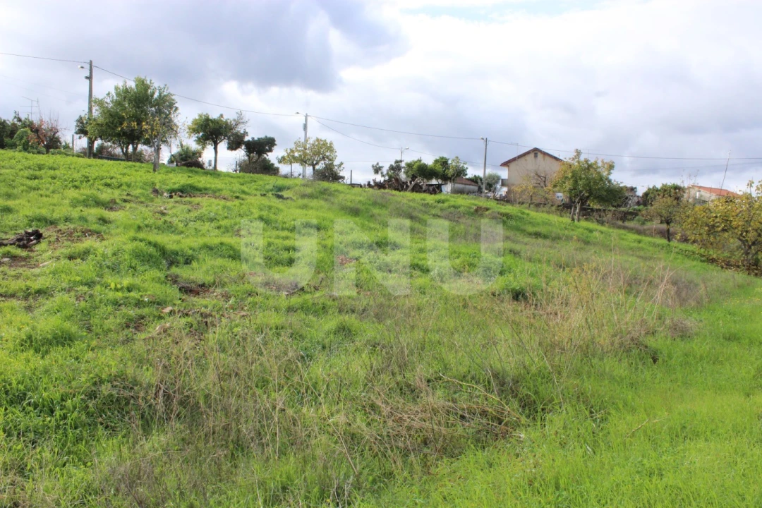Terreno Agricola ou Rústico para Venda em Proença-A-Nova e Peral Foto 3