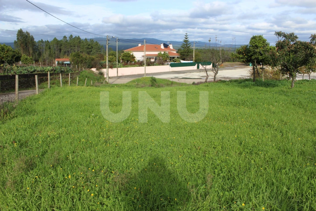 Terreno Agricola ou Rústico para Venda em Proença-A-Nova e Peral Foto 4