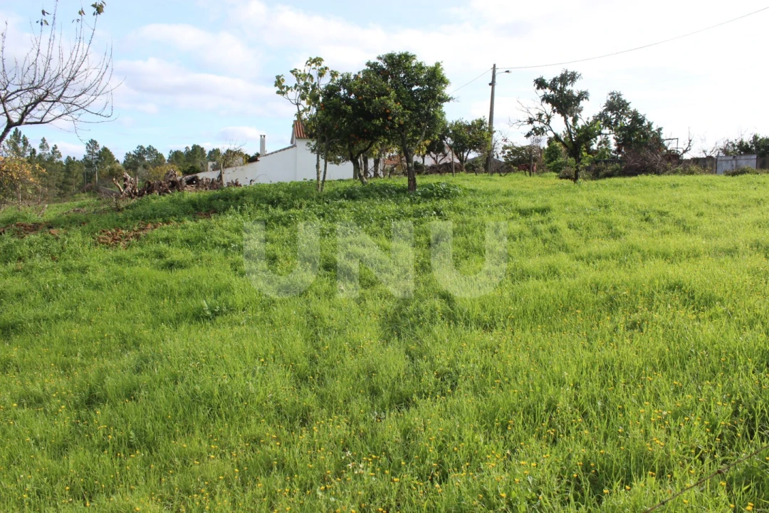 Terreno Agricola ou Rústico para Venda em Proença-A-Nova e Peral Foto 10