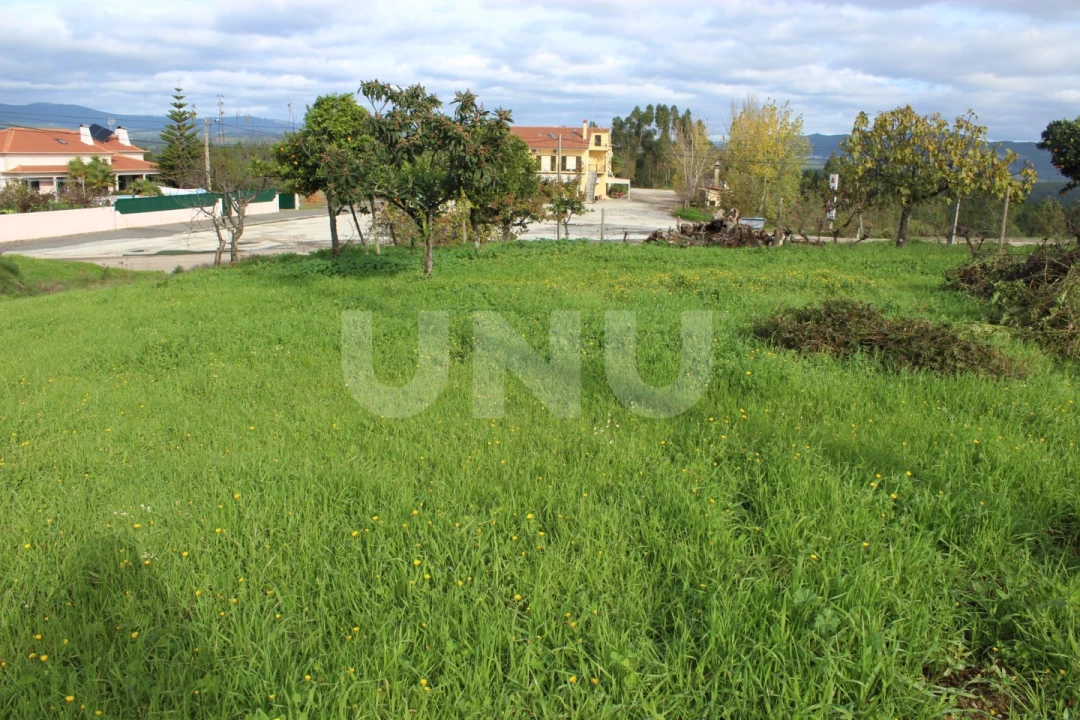 Terreno Agricola ou Rústico para Venda em Proença-A-Nova e Peral Foto 6