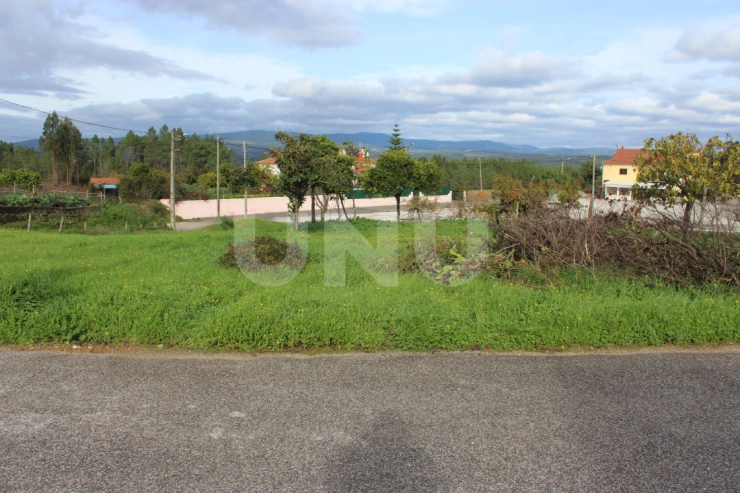 Terreno Agricola ou Rústico para Venda em Proença-A-Nova e Peral Foto 11
