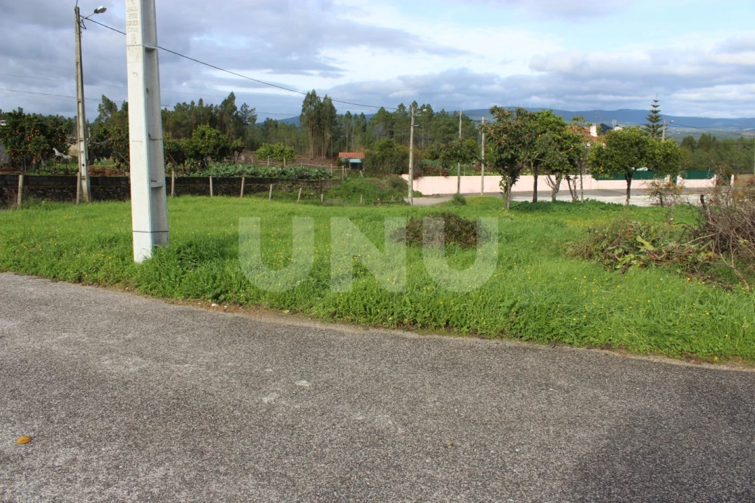 Terreno Agricola ou Rústico para Venda em Proença-A-Nova e Peral Foto 2