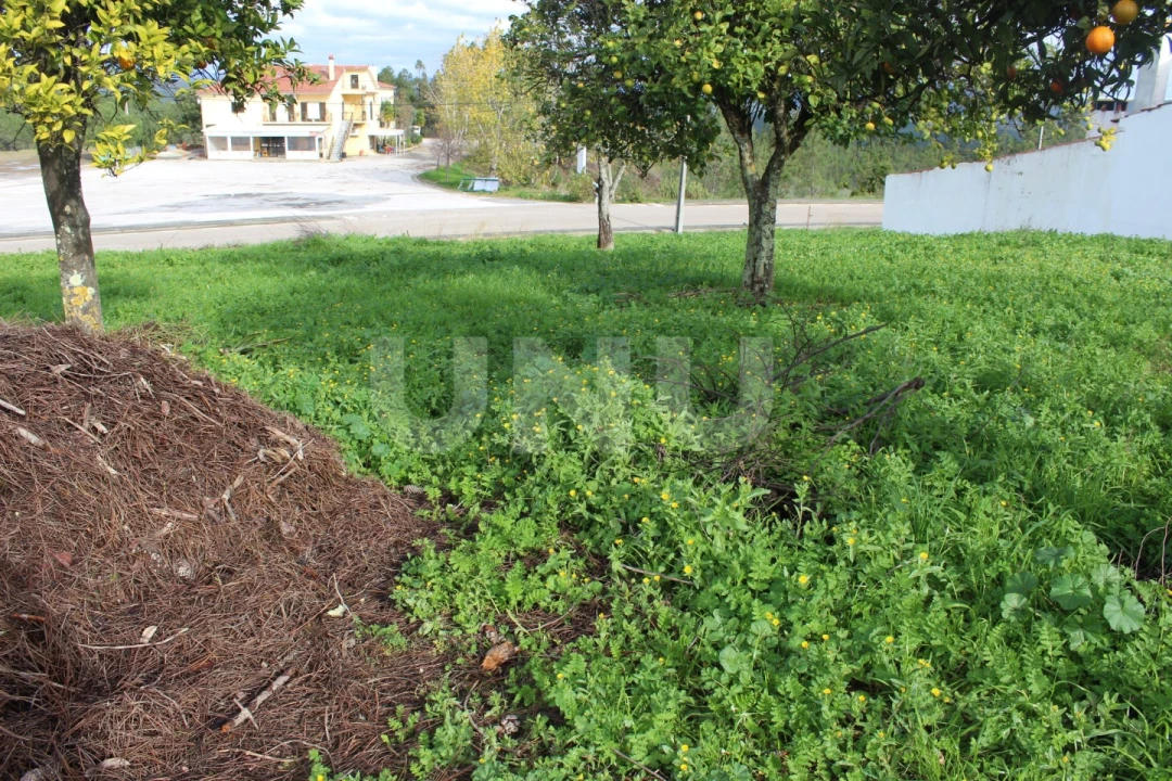 Terreno Agricola ou Rústico para Venda em Proença-A-Nova e Peral Foto 17