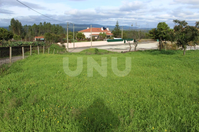 Terreno Agricola ou Rústico para Venda em Proença-A-Nova e Peral Foto 4