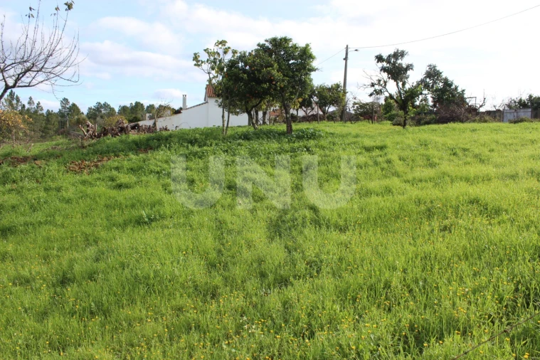 Terreno Agricola ou Rústico para Venda em Proença-A-Nova e Peral Foto 10