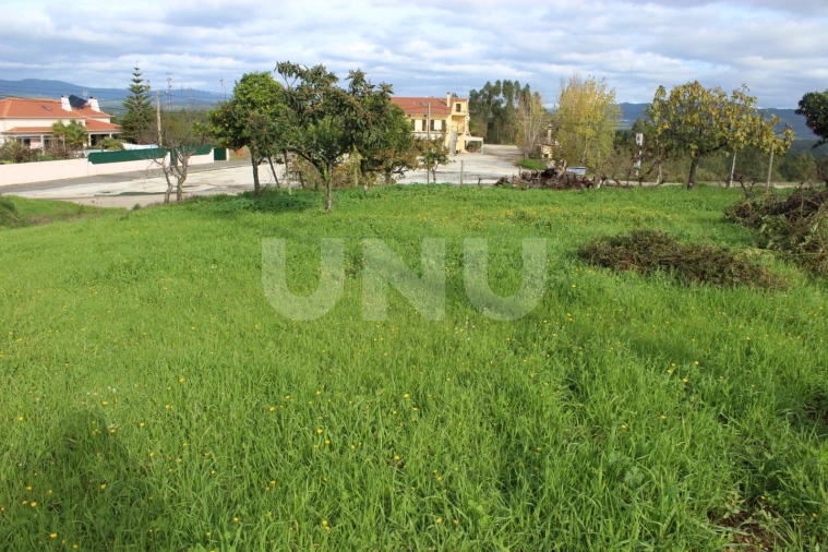 Terreno Agricola ou Rústico para Venda em Proença-A-Nova e Peral Foto 6