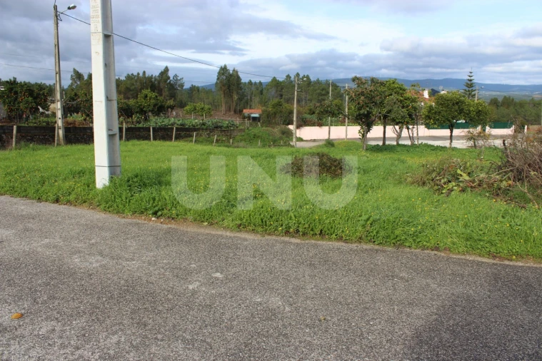 Terreno Agricola ou Rústico para Venda em Proença-A-Nova e Peral Foto 2