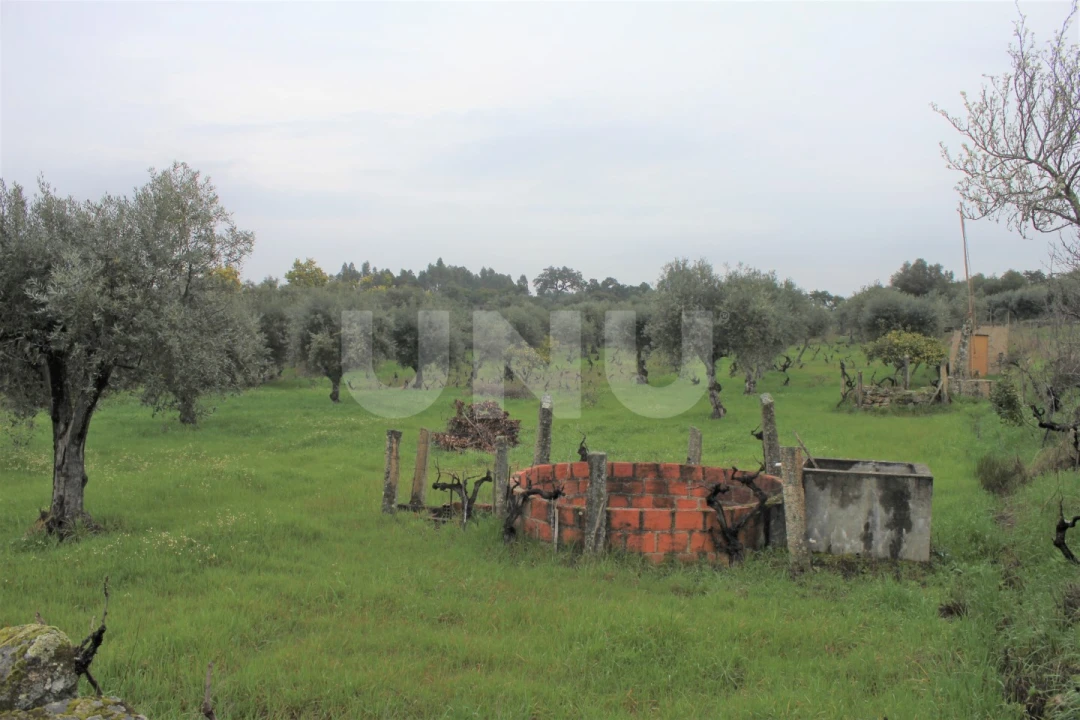 Terreno Agricola ou Rústico para Venda em Escalos de Cima e Lousa Foto 2