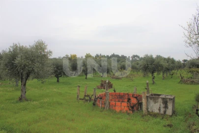 Terreno Agricola ou Rústico para Venda em Escalos de Cima e Lousa