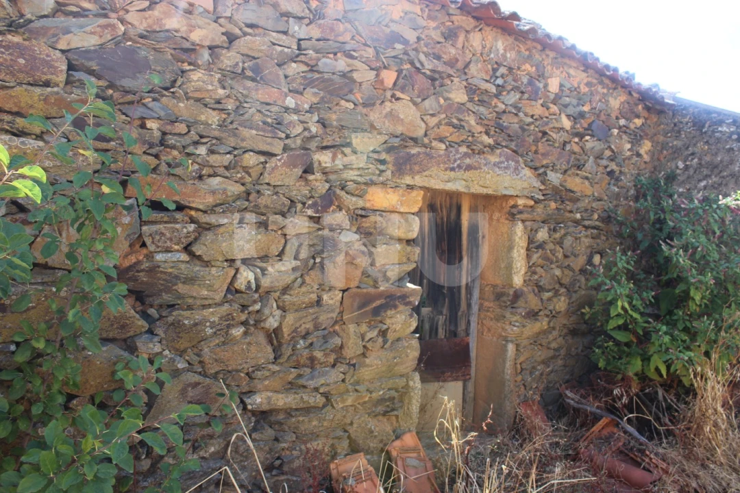 Terreno para Venda em Penha Garcia Foto 5