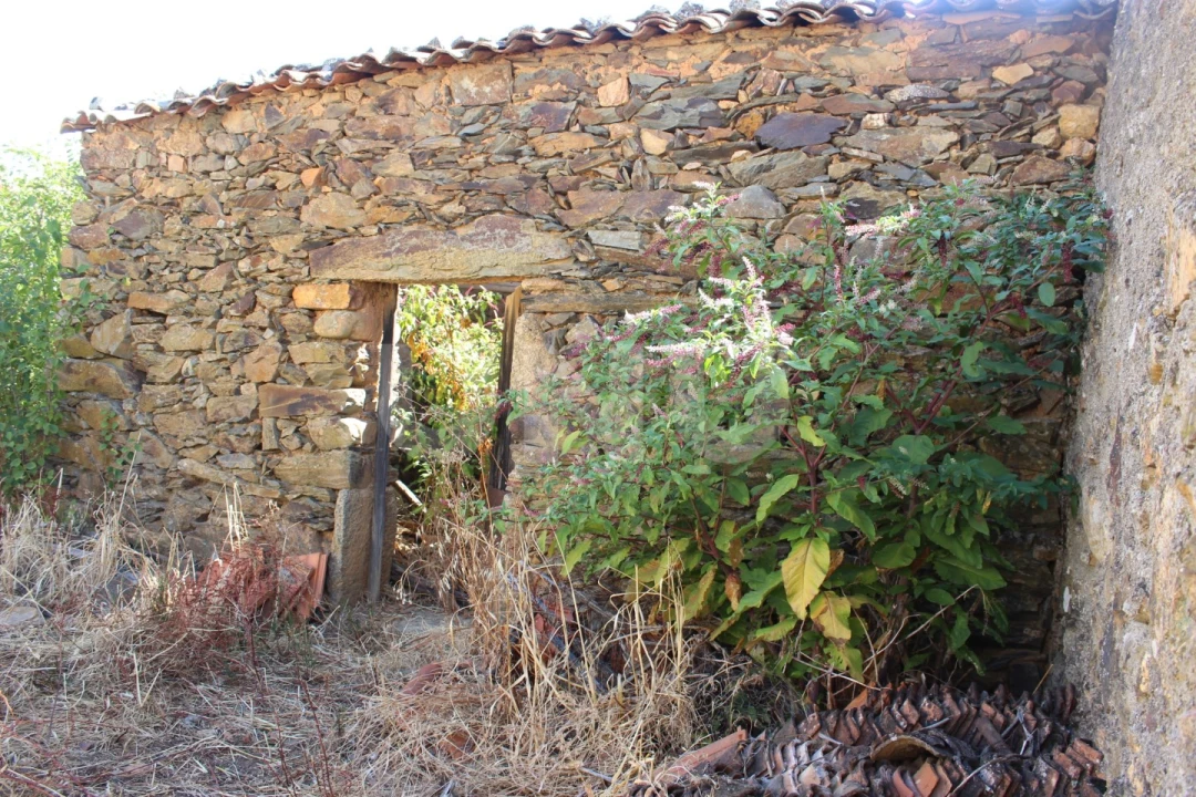 Terreno para Venda em Penha Garcia Foto 1