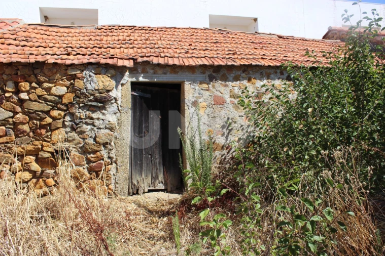 Terreno para Venda em Penha Garcia Foto 4