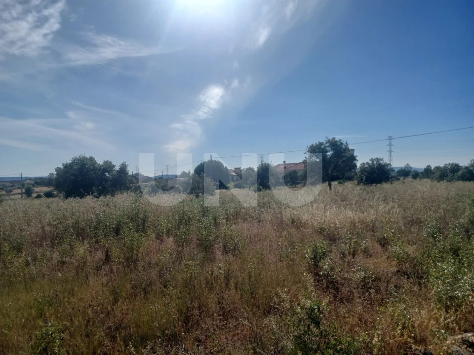Terreno Agricola ou Rústico para Venda em Sarnadas de Rodão Foto 3