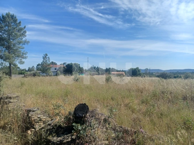 Terreno Agricola ou Rústico para Venda em Sarnadas de Rodão Foto 1