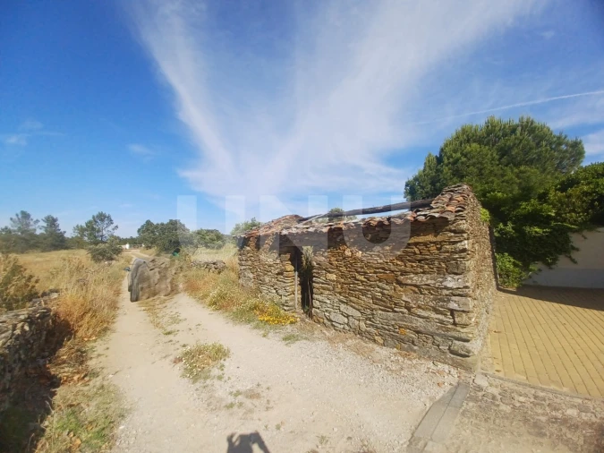 Terreno Agricola ou Rústico para Venda em Sarnadas de Rodão Foto 4