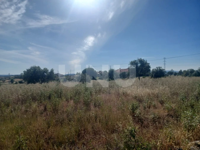 Terreno Agricola ou Rústico para Venda em Sarnadas de Rodão Foto 3