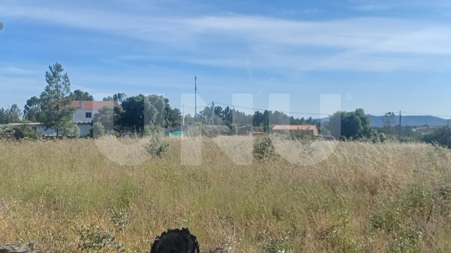 Terreno Agricola ou Rústico para Venda em Sarnadas de Rodão
