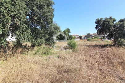 Terreno para Venda em Quinta do Conde
