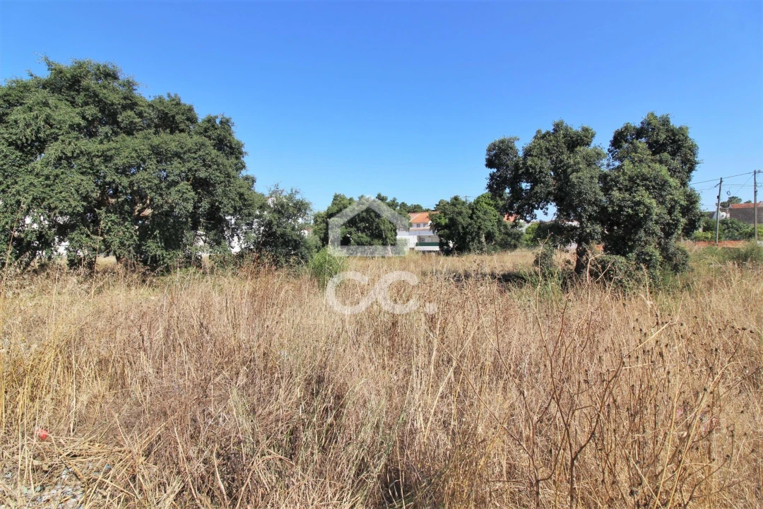 Terreno para Venda em Quinta do Conde Foto 8