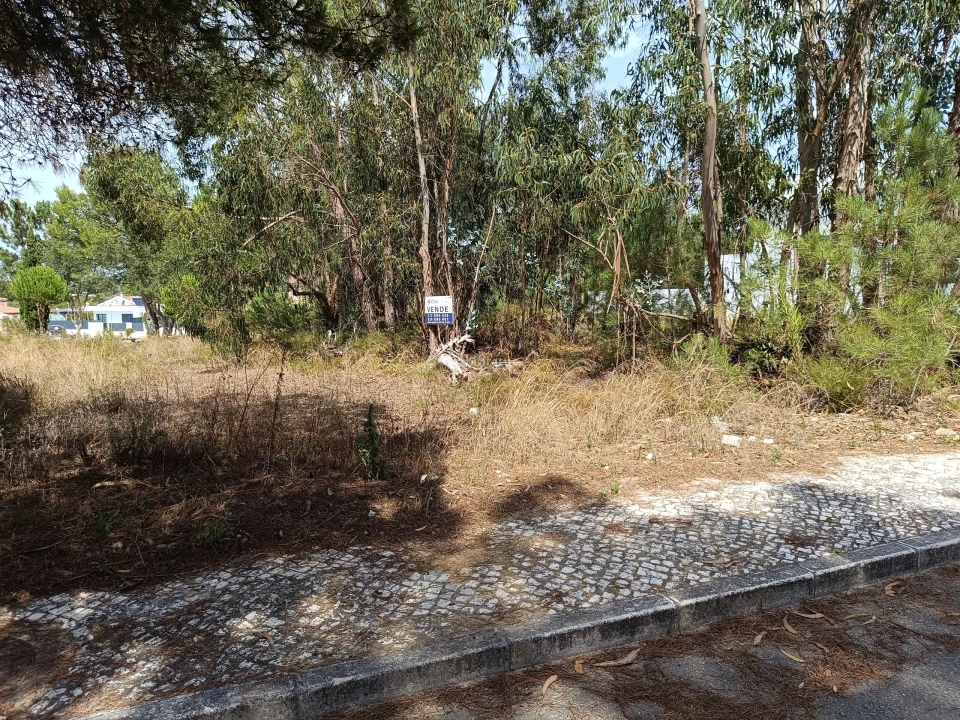 Terreno para Venda em Sesimbra (Castelo) Foto 3