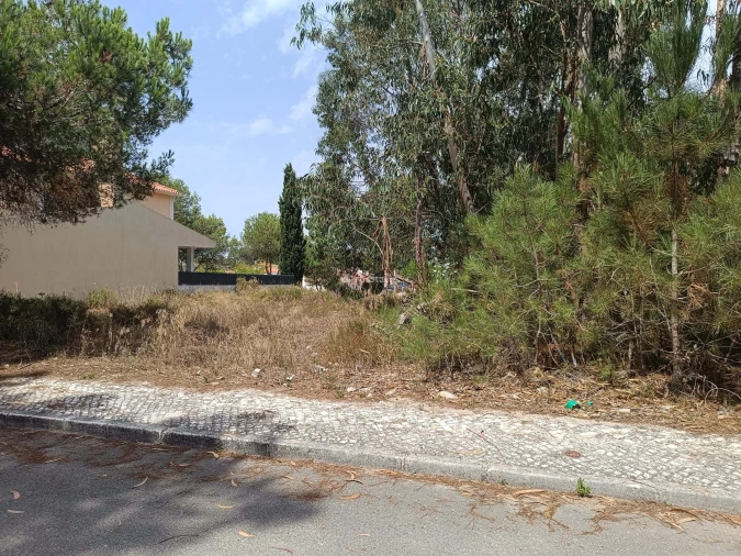 Terreno para Venda em Sesimbra (Castelo) Foto 10