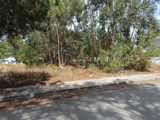 Terreno para Venda em Sesimbra (Castelo) Foto 5