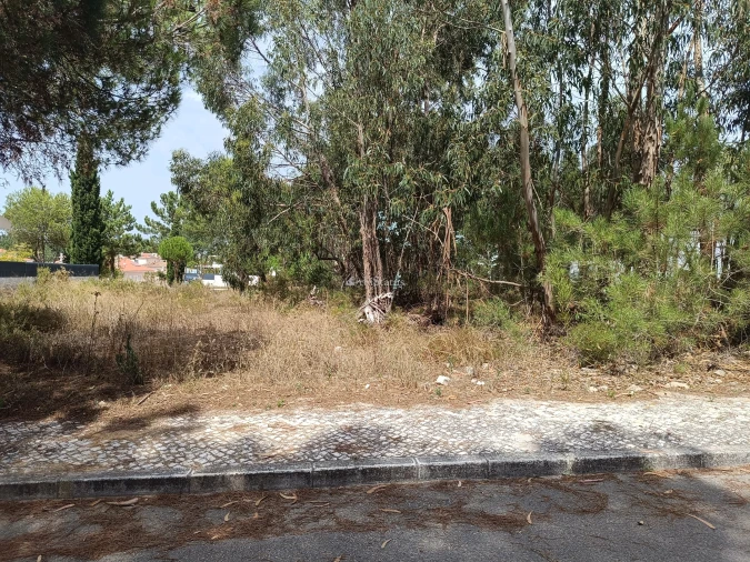 Terreno para Venda em Sesimbra (Castelo) Foto 11