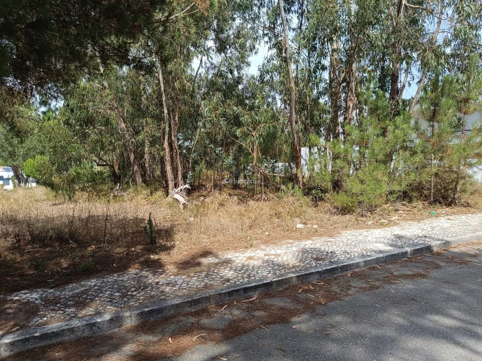Terreno para Venda em Sesimbra (Castelo) Foto 9