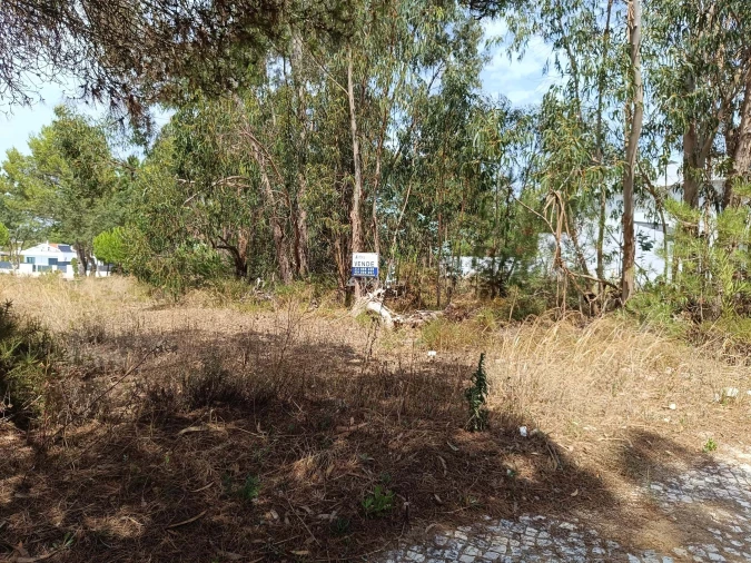 Terreno para Venda em Sesimbra (Castelo) Foto 4