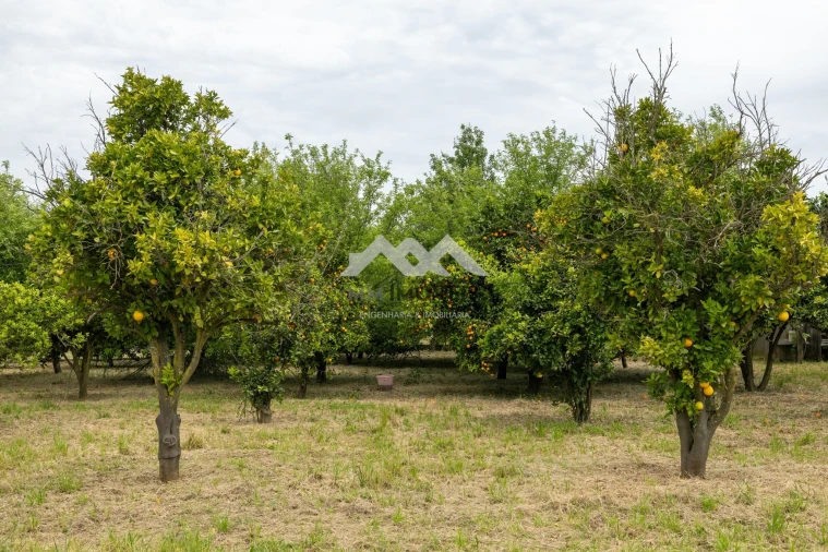 Quinta T9 para Venda em Carreira e Refojos de Riba de Ave Foto 15