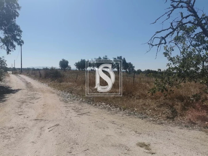 Terreno para Venda em Arez e Amieira do Tejo Foto 1