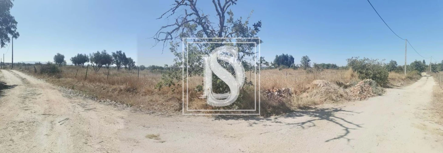 Terreno para Venda em Arez e Amieira do Tejo Foto 2