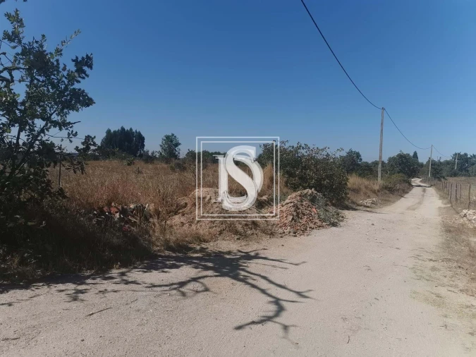 Terreno para Venda em Arez e Amieira do Tejo Foto 9