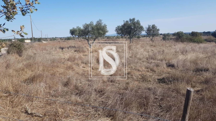 Terreno para Venda em Arez e Amieira do Tejo Foto 4