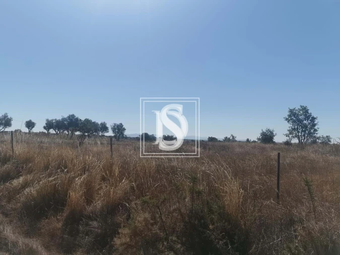 Terreno para Venda em Arez e Amieira do Tejo Foto 8
