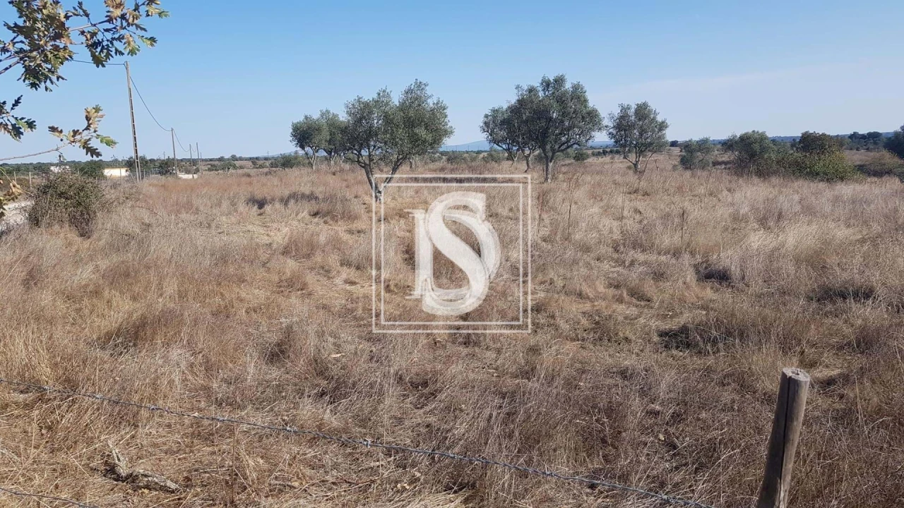 Terreno para Venda em Arez e Amieira do Tejo Foto 4