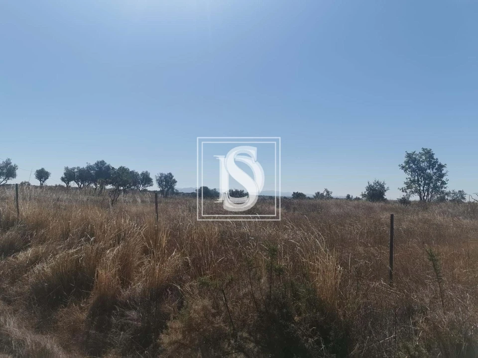 Terreno para Venda em Arez e Amieira do Tejo Foto 8