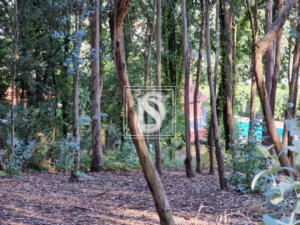 Terreno para Venda em Arões (São Romão) Foto 1