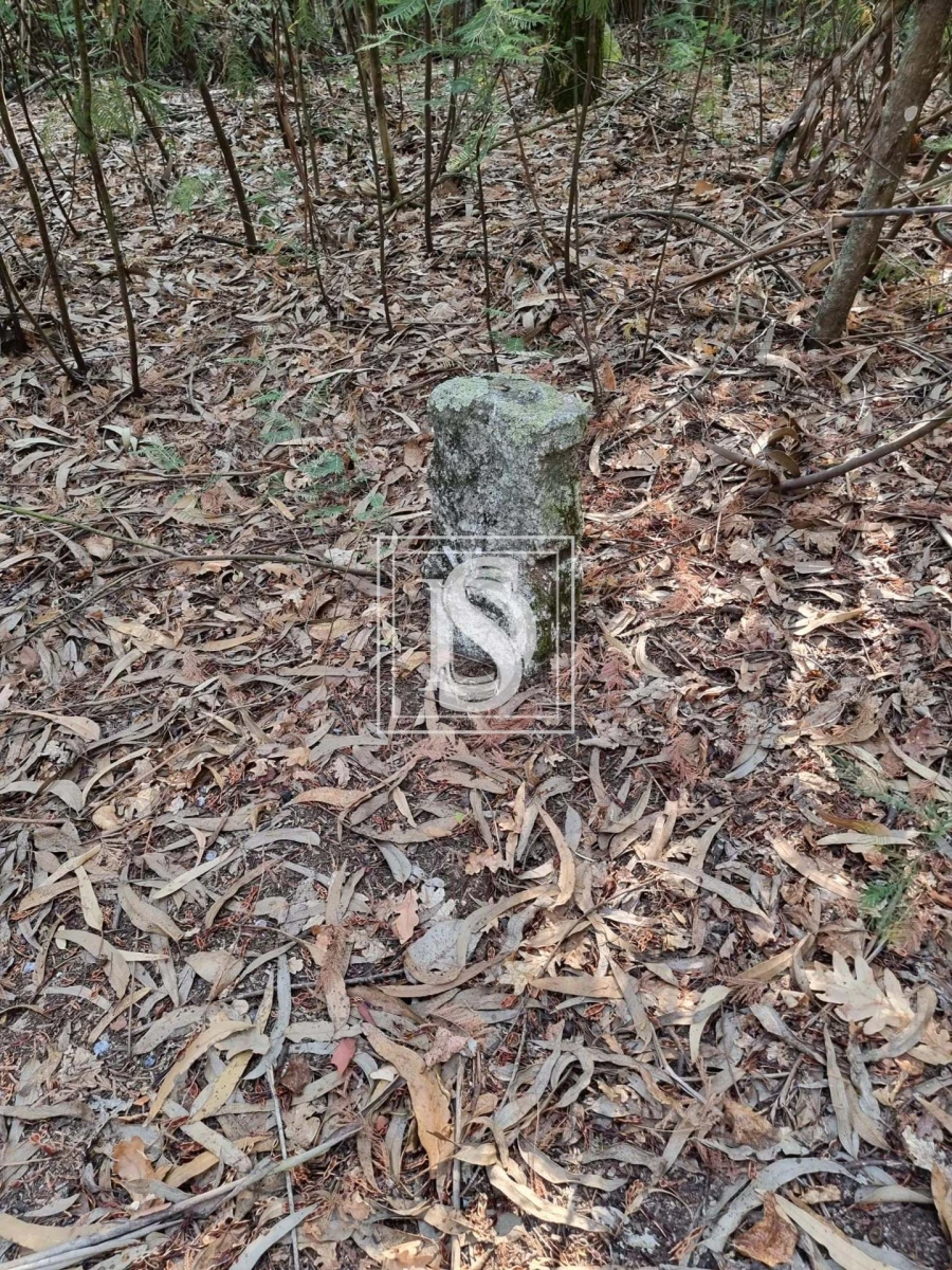 Terreno para Venda em Arões (São Romão) Foto 4