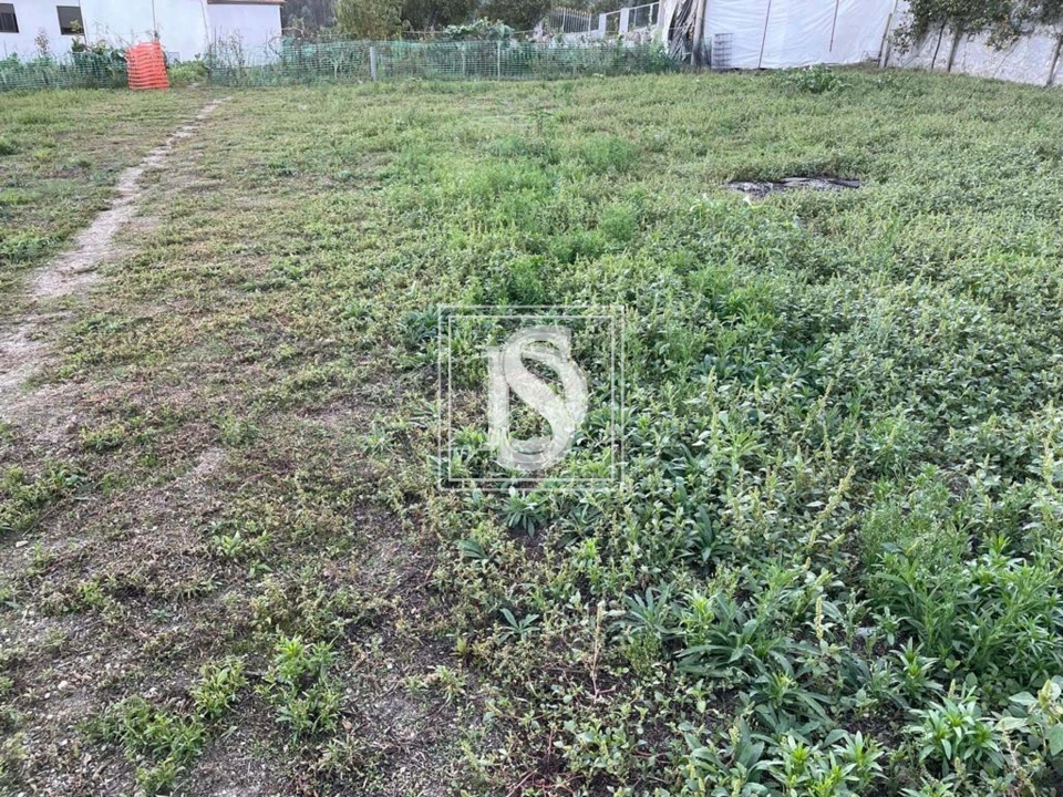 Terreno para Venda em Arões (São Romão) Foto 4