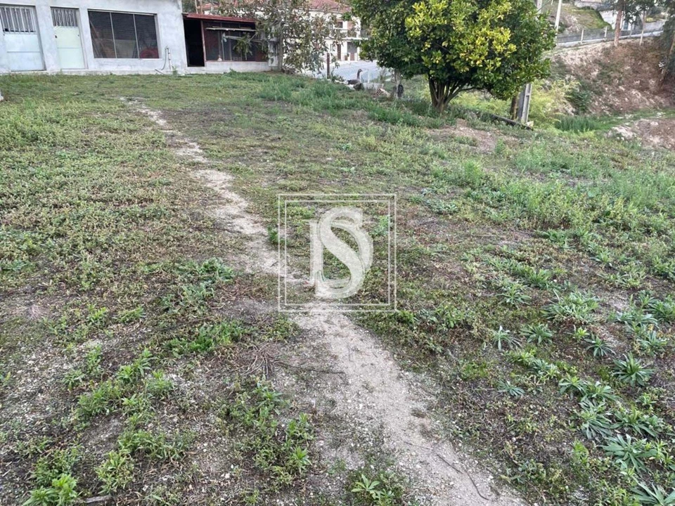 Terreno para Venda em Arões (São Romão) Foto 3