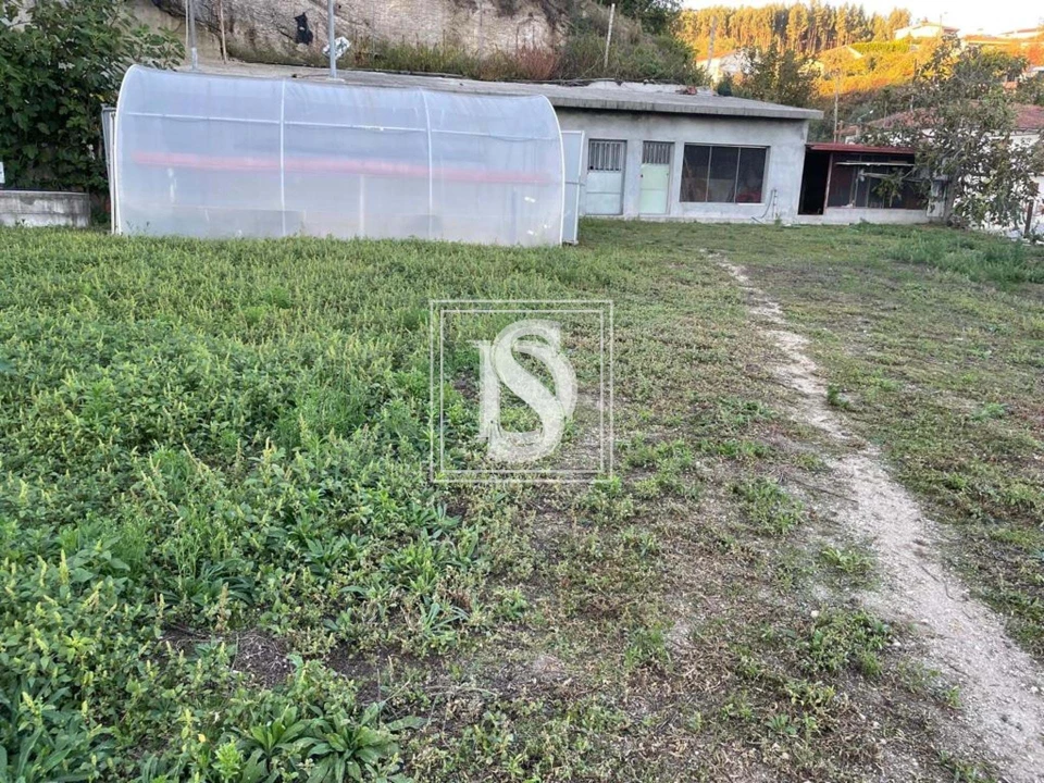 Terreno para Venda em Arões (São Romão) Foto 2