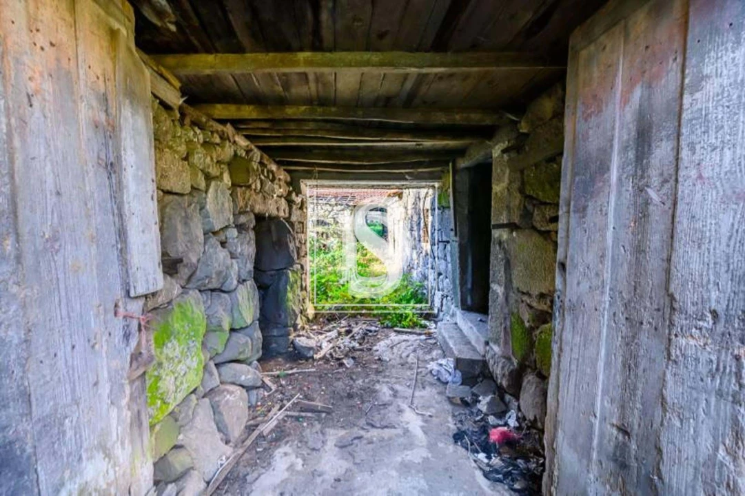 Quinta T3 para Venda em São Torcato Foto 22