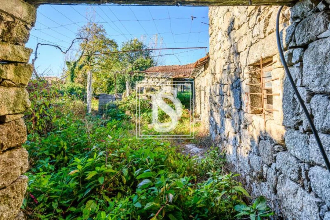 Quinta T3 para Venda em São Torcato Foto 23