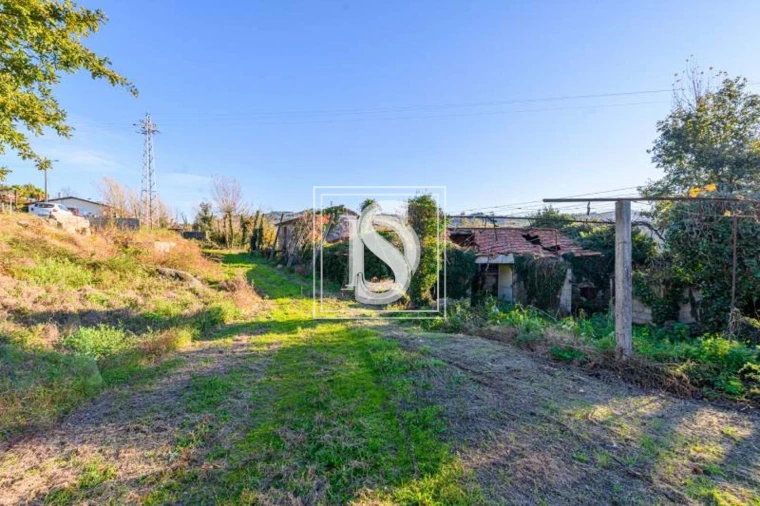 Quinta T3 para Venda em São Torcato Foto 18