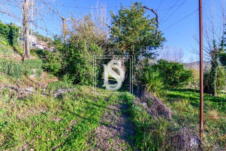 Quinta T3 para Venda em São Torcato Foto 21