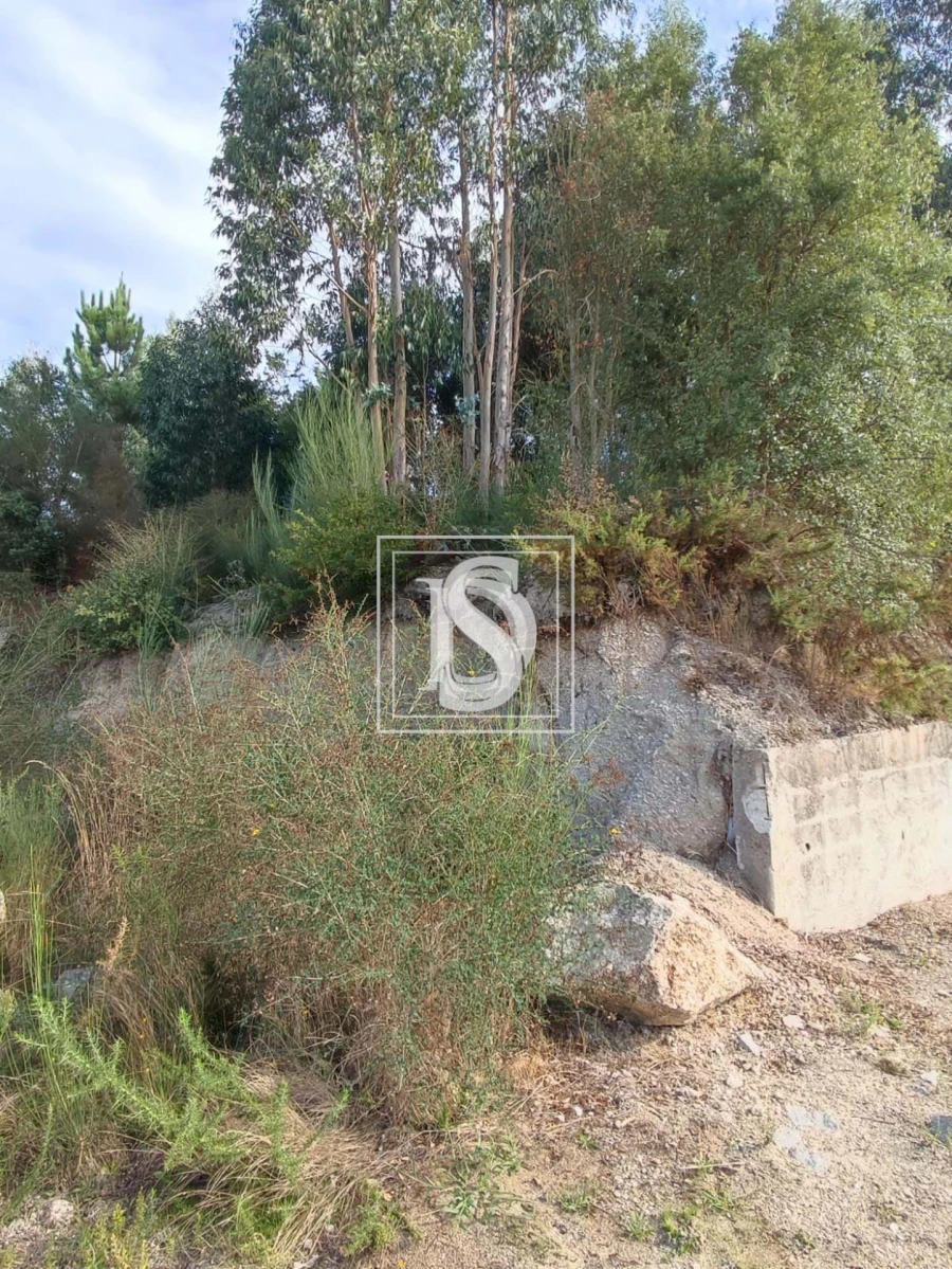 Terreno para Venda em Oliveira, São Paio e São Sebastião Foto 2